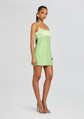 Monyca Sequin Dress